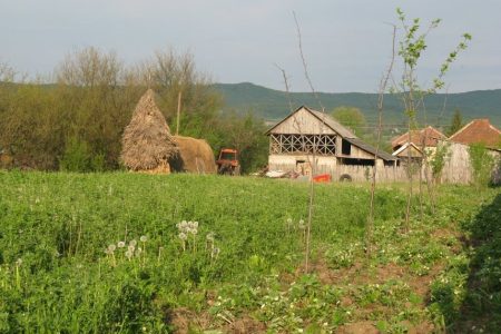 Ferma ecologică, în viziunea mea