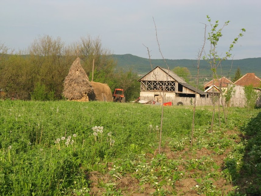 Ferma ecologică, în viziunea mea