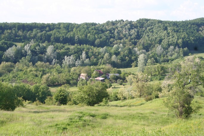 Casa văcuțelor, din depărtare