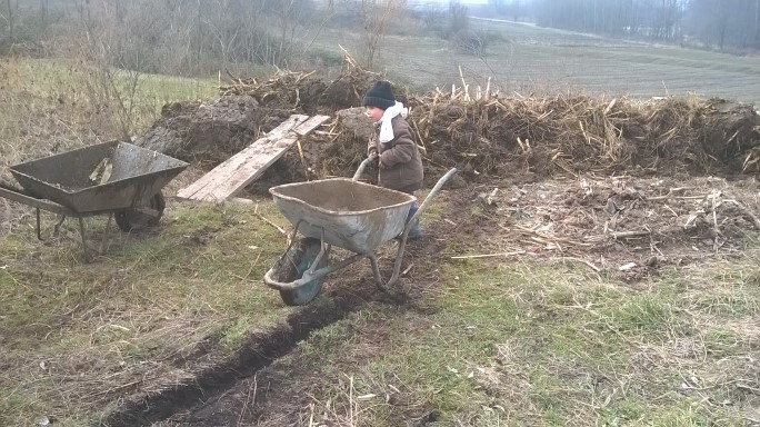 Ajutor de bază