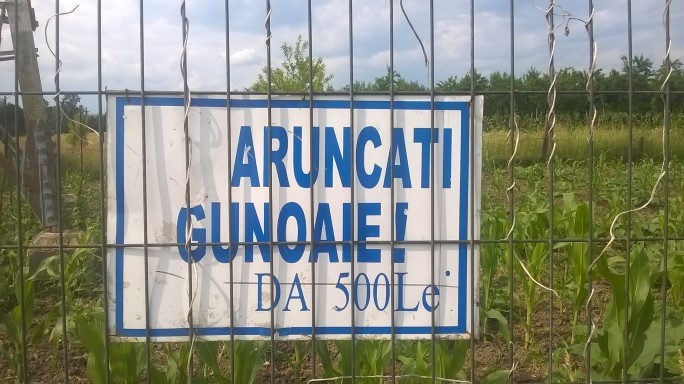 Gunoaie