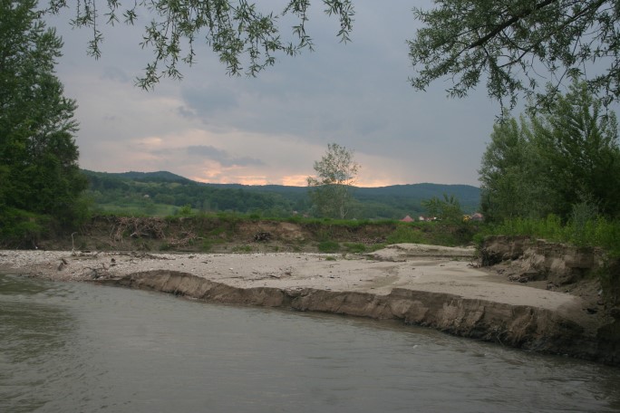 La grădină, după ploaie