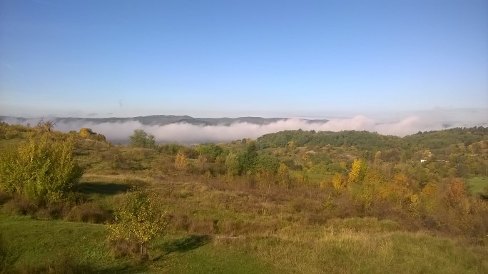 Ceață peste zăvoi