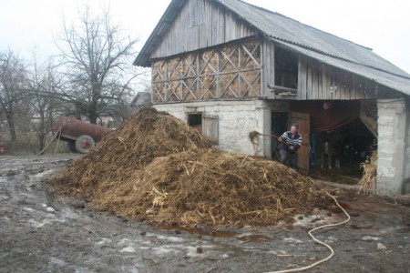 Iarna la grajd, cealaltă faţă a monedei