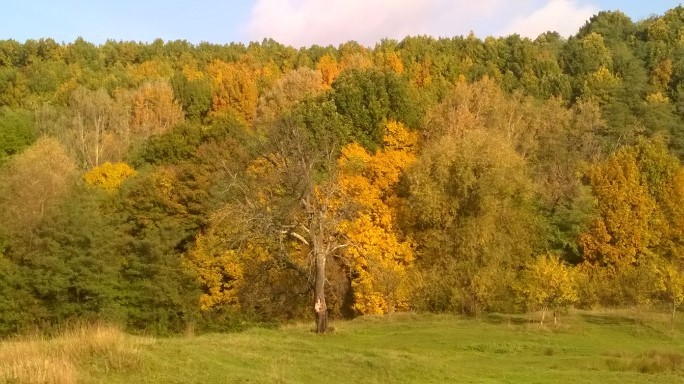 Toamnă ruginie