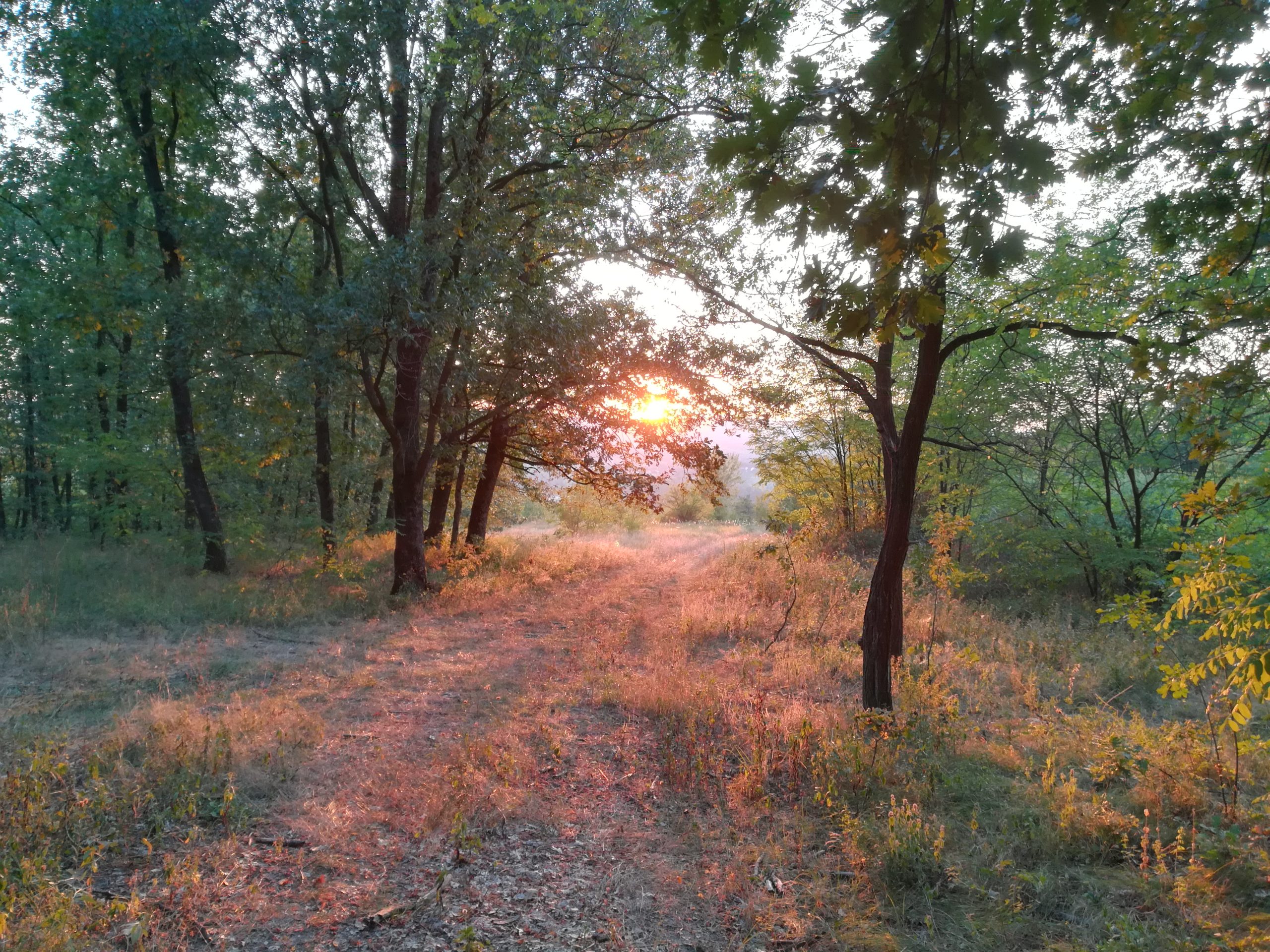 Apusuri de soare