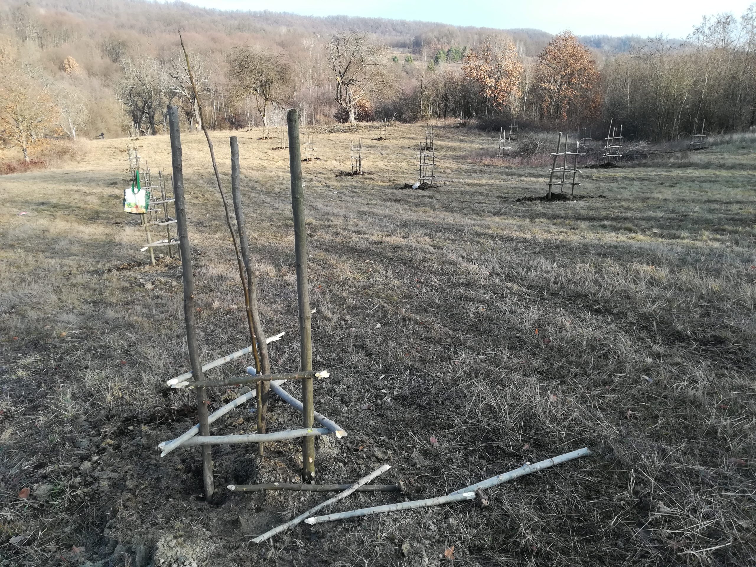 Protecții pentru nuci, pe stil vechi
