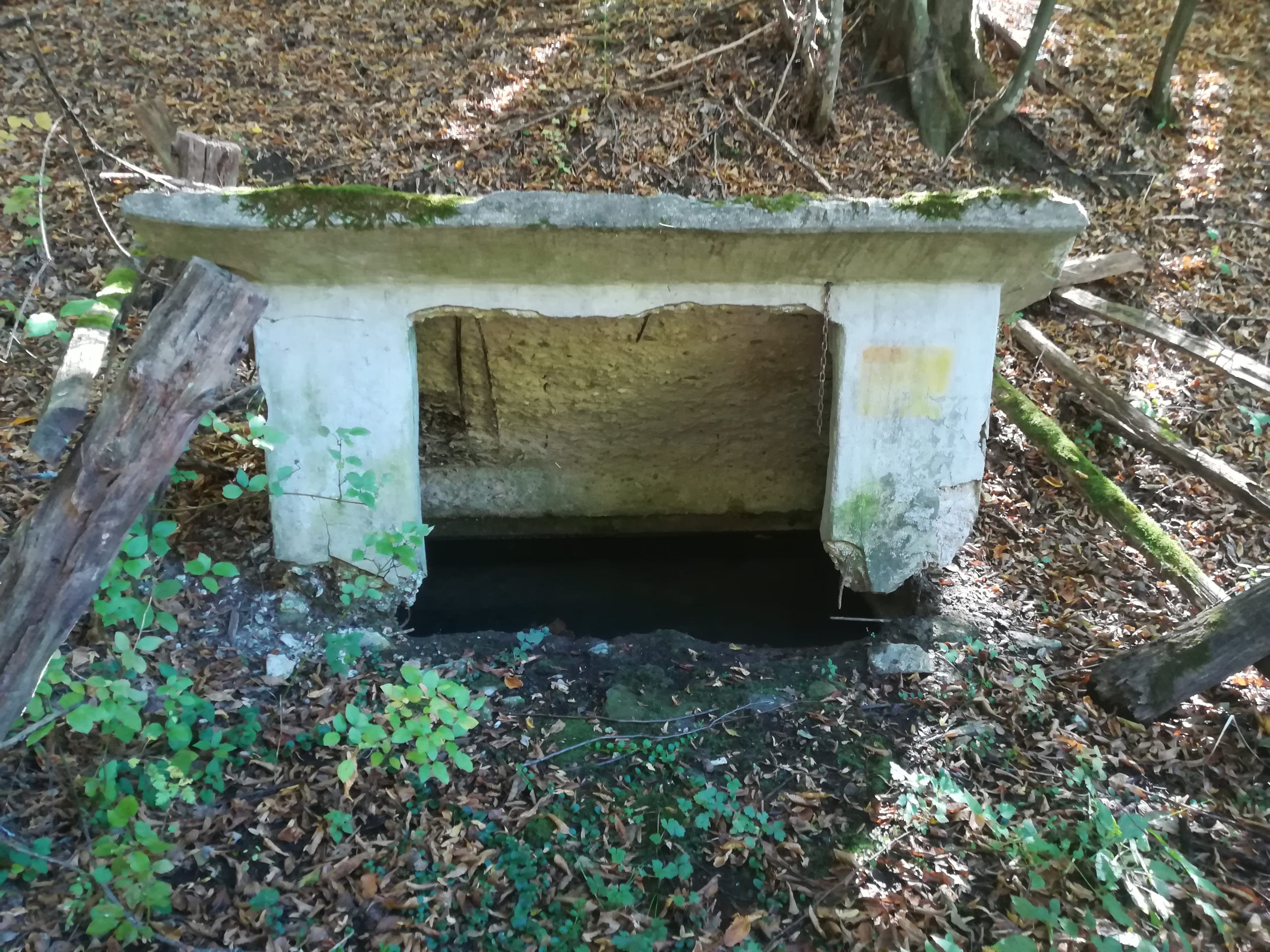 Fântâna din pădure