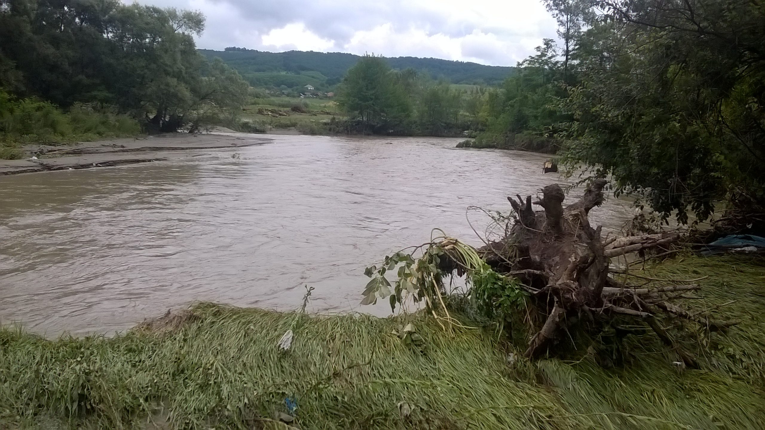 Oltețul a inundat toată grădina