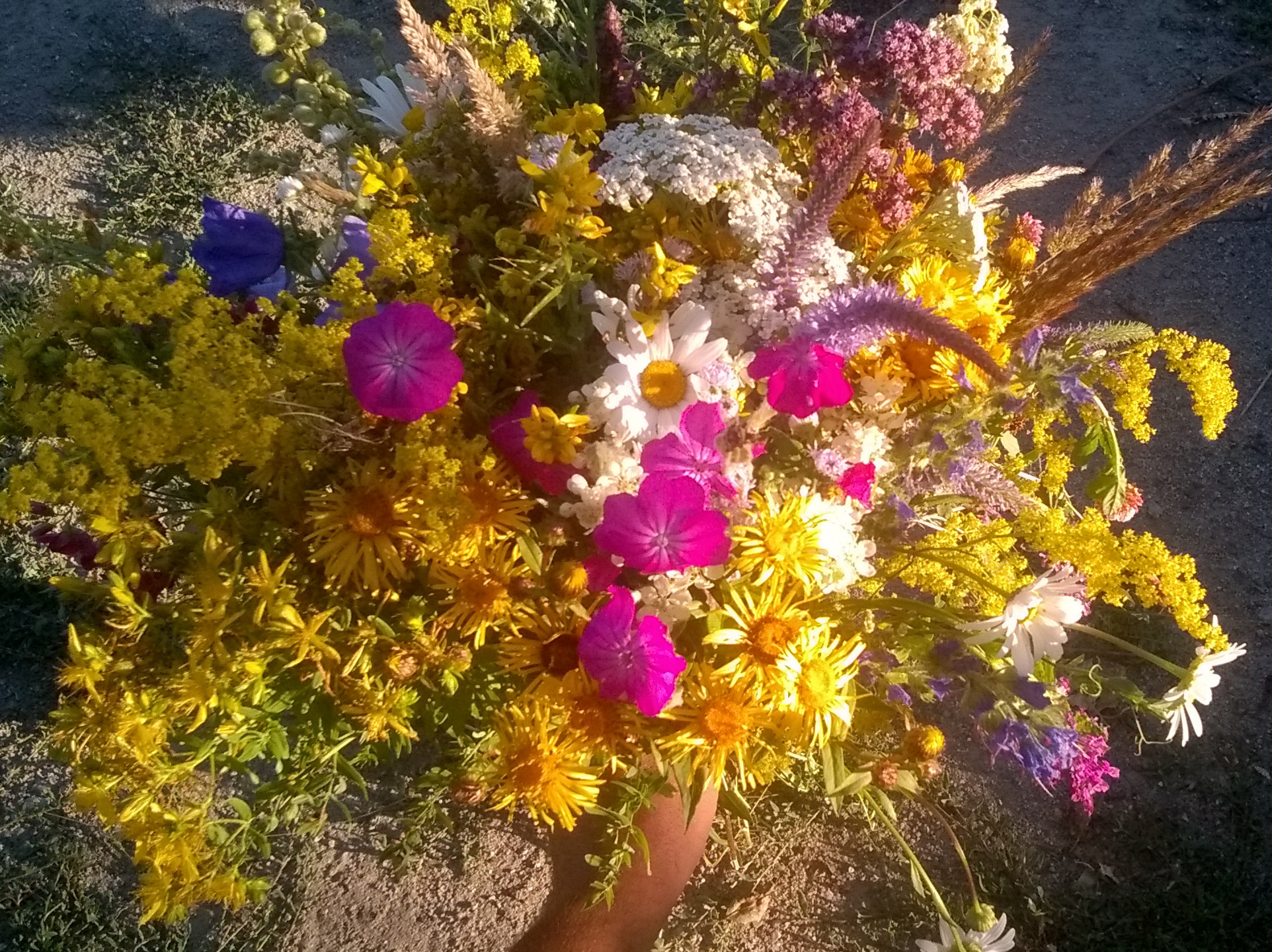 Buchet de flori de câmp