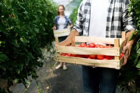 Anual, fermierii care fac agricultură ecologică au obligația să-și înregistreze activitatea la Direcțiile Județene Agricole, până la data de 16 mai. Vezi documentele necesare