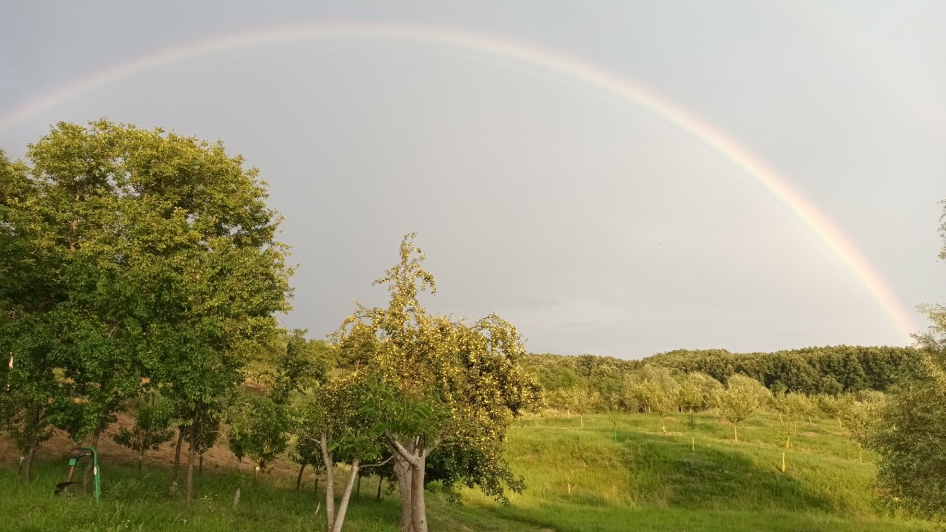 Curcubeul de după ploaie