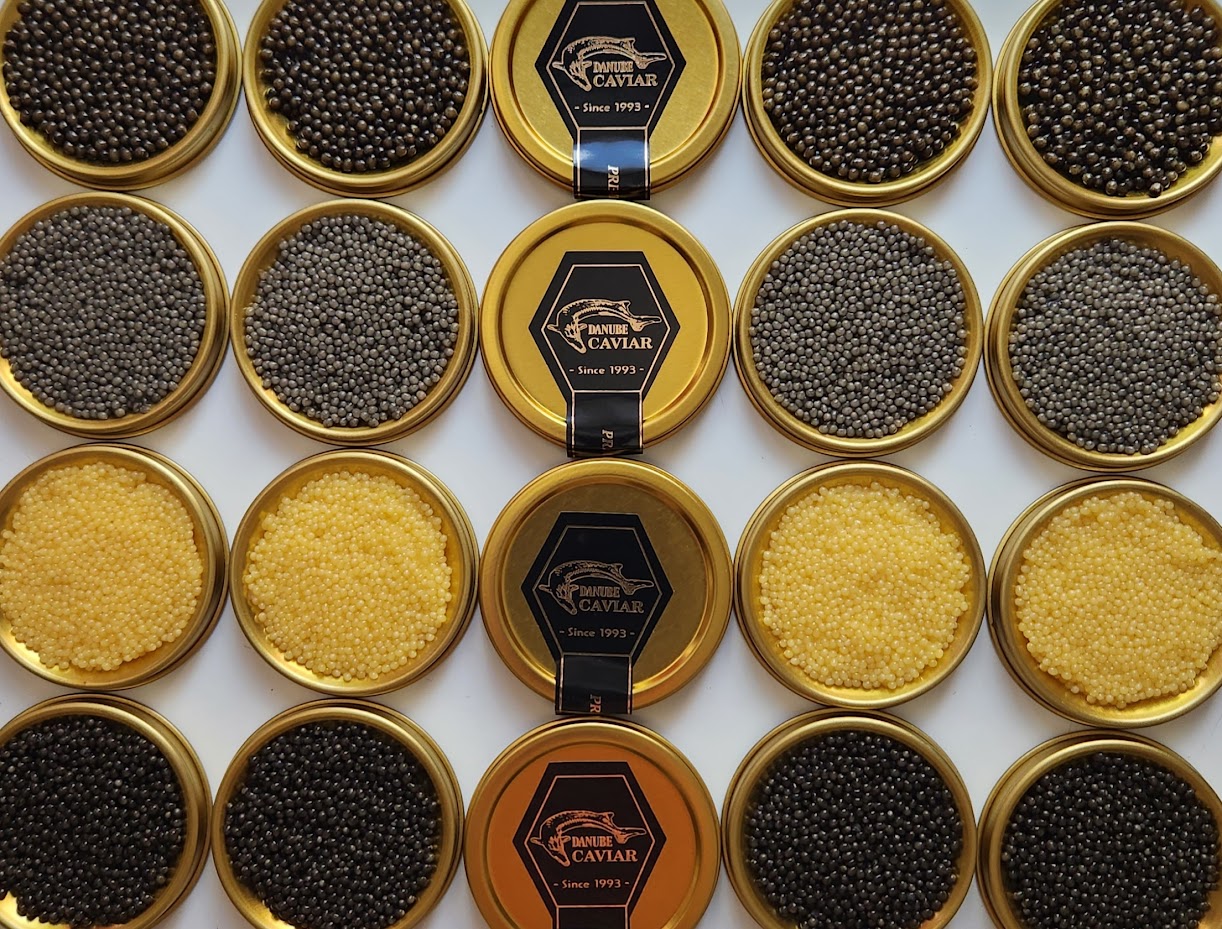 Caviar Bio din acvacultura – Ferma Horia, Tulcea