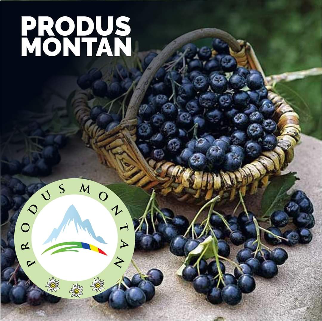 Popa Alina Maria – Producător aronia ecologică în Vulcan, județul Brașov