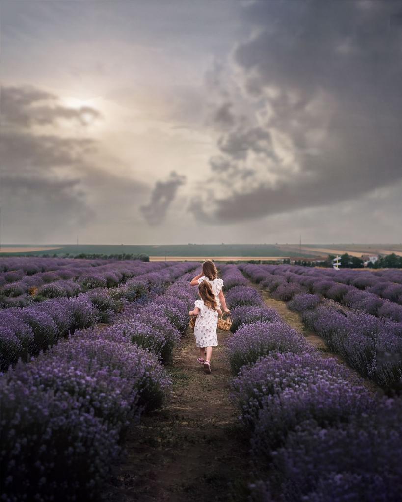 Cultura lavanda