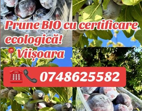 Lucernă, mere, prune ecologice în Viișoara, Bihor – Chereji Viorel Vasile