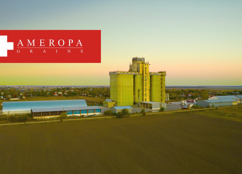 Distribuție grâu, orz, porumb, floarea soarelui ecologică în Constanța – Ameropa Grains S.A.