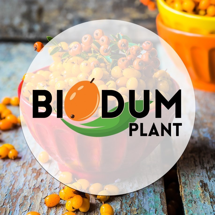 Distribuție și export de cătină congelată și cătină ecologică în Nojorid, Bihor – Biodum Plant S.R.L.