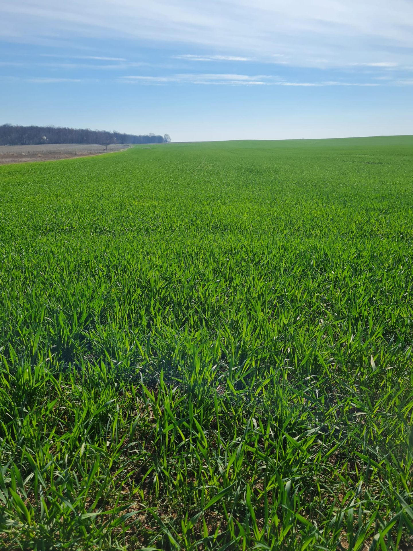 Producător ecologic în Valea Mare, Olt – Militaru M. Ion Agro P.F.A.
