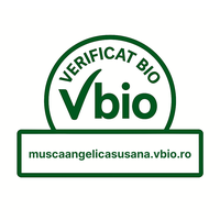 Lucernă ecologică în Olari, Arad – Musca Angelica-Susana