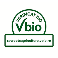 Lavandă ecologică în Siliștea, Călărași – Rav Roots Agriculture S.R.L.