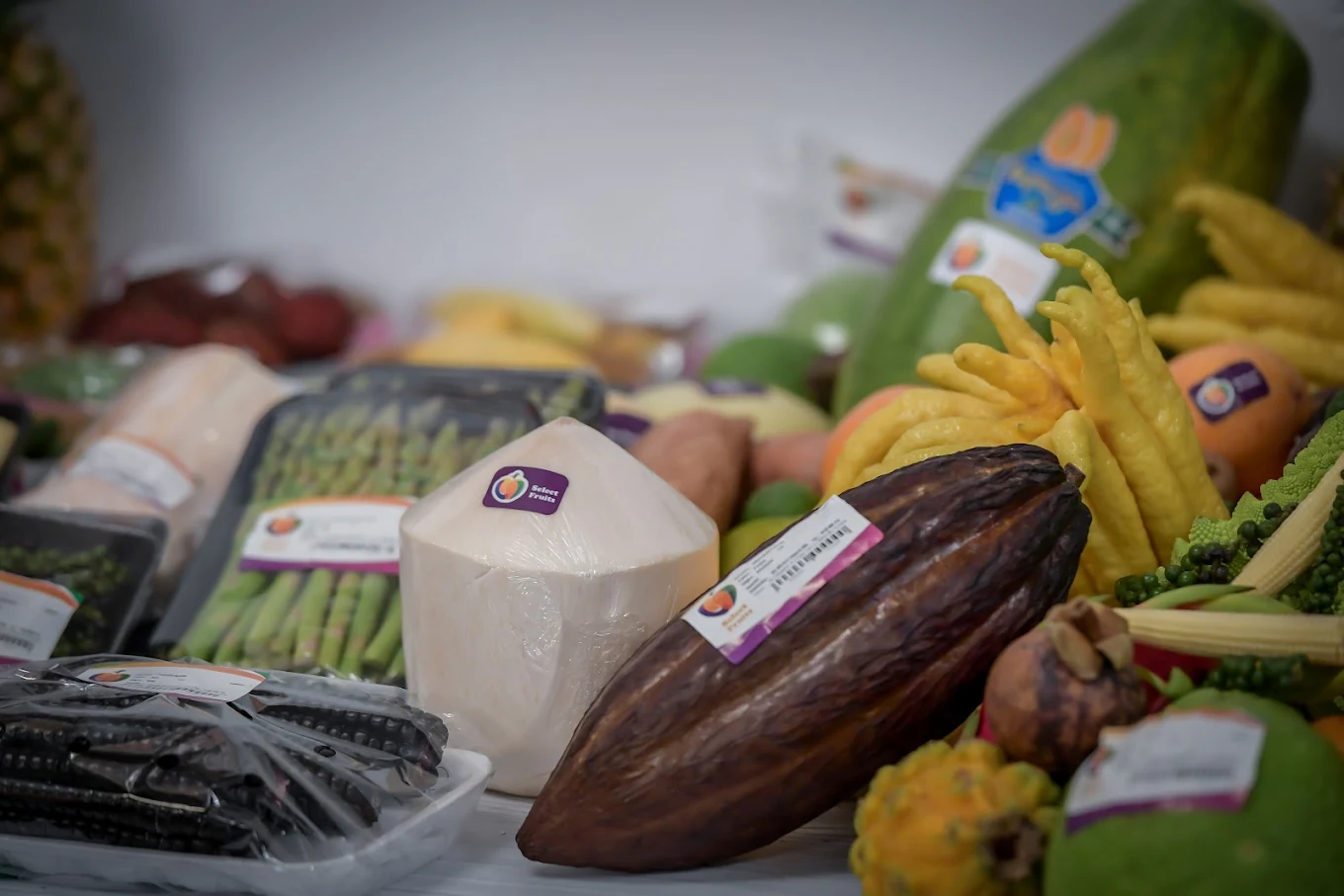 Procesare, Depozitare afine, aloe vera ecologică în Ștefăneștii de Jos, Ilfov – Select Fruits S.R.L.