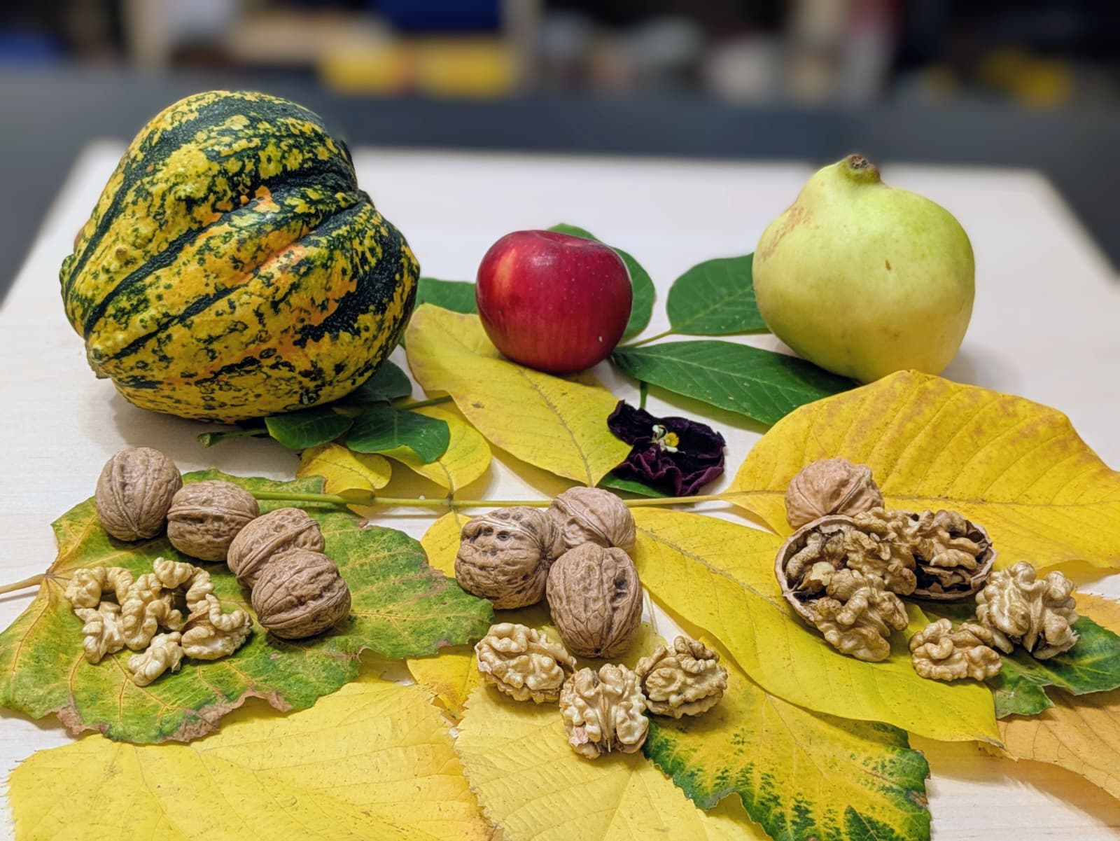 Nuci ecologice în Timişoara – Walnut Time S.R.L.