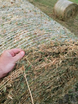 Baloți de lucerna ecologică