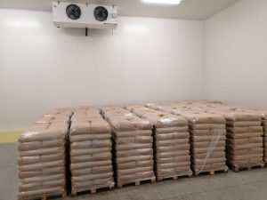 Cătină ecologică congelată