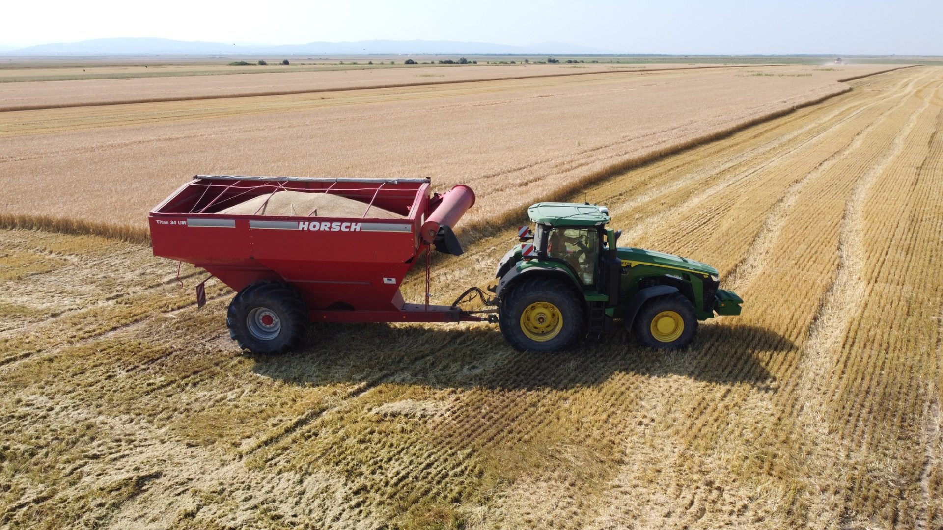Lucernă ecologică în Focşani, Vrancea – Comcereal S.A.