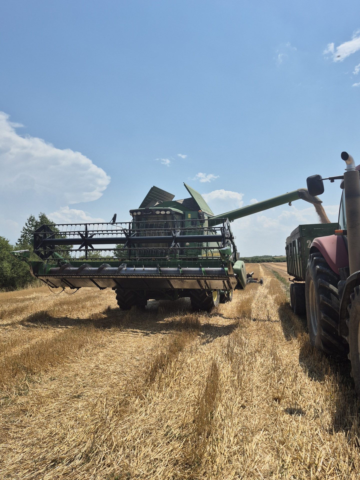 Soia, grâu, fân ecologice în Viile Satu Mare, Satu Mare – Apt Bio Farm S.R.L.