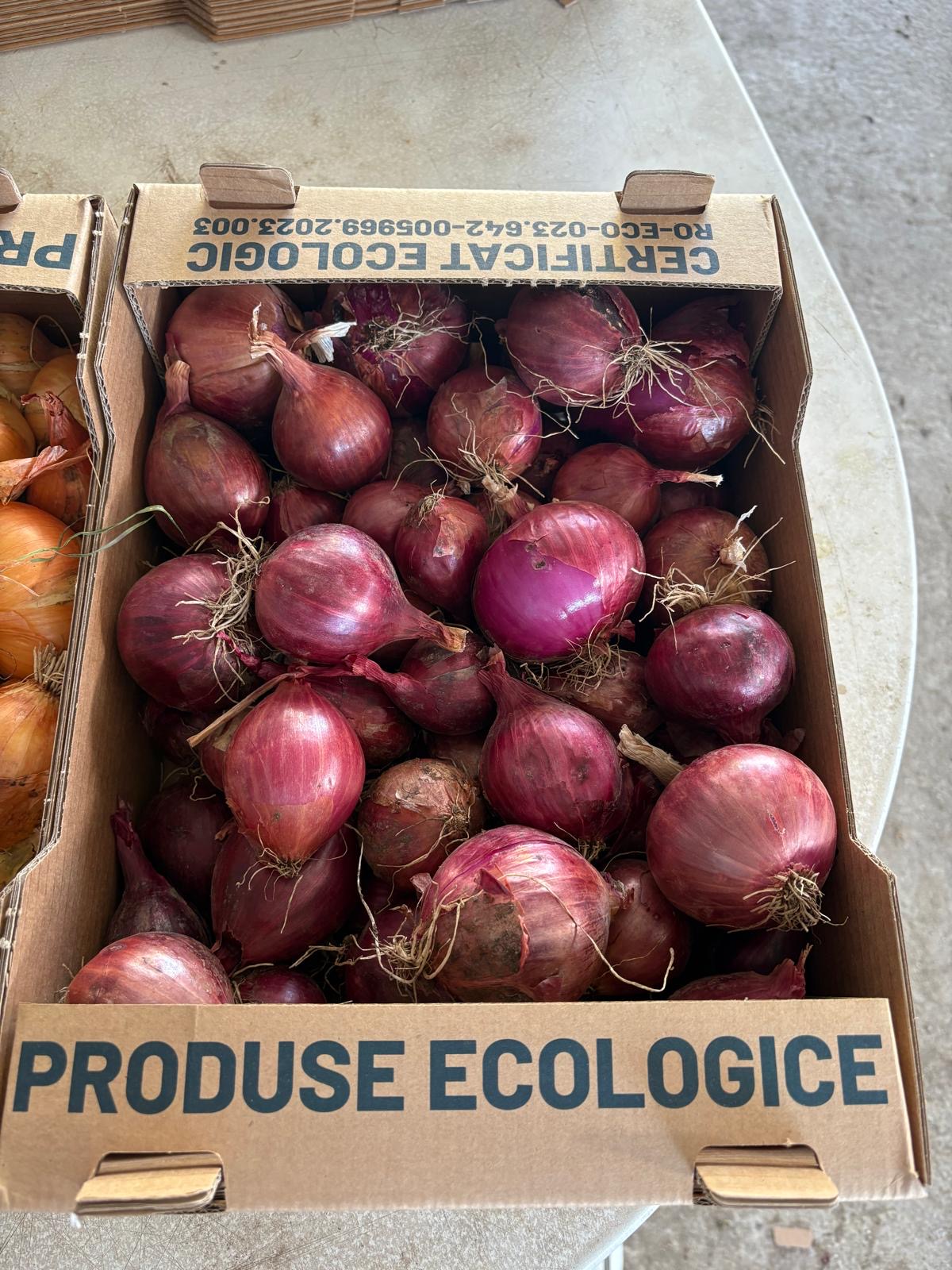 Ceapă roșie bio