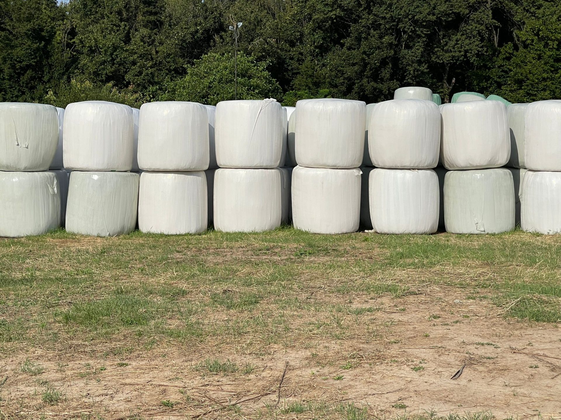 Semifan lucerna