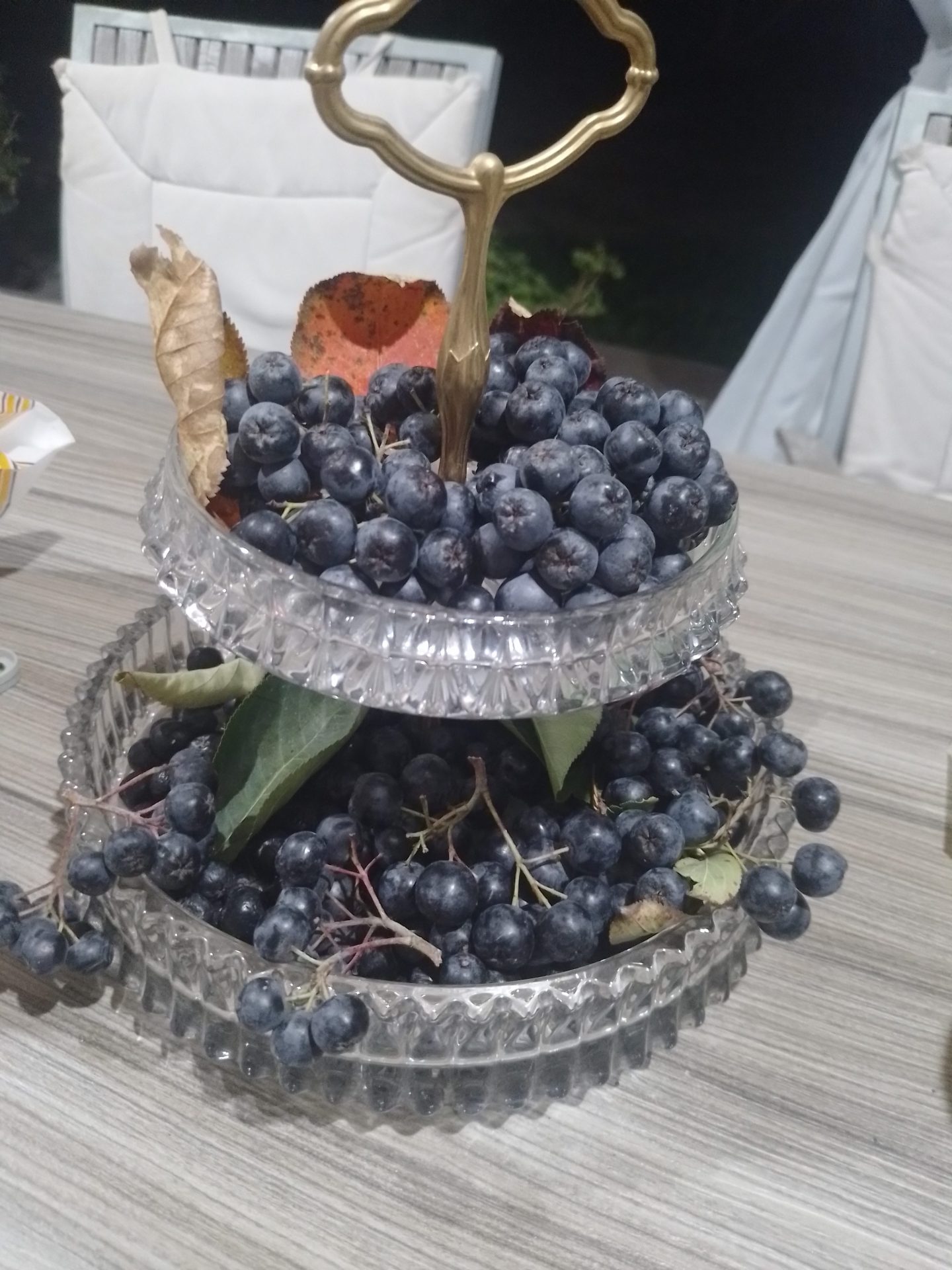 Fructe aronia