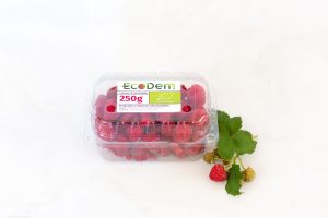 Zmeură ecologică