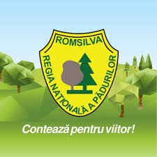 Afine, maceșe, porumbe, zmeură, păducel, cătină ecologică în Bistrița – Direcția Silvică Bistrița-Năsăud – Regia Natională a Pădurilor – Romsilva Ra București