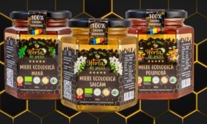 Pachet Combo – 3x Borcane Miere Ecologica / BIO 550g (salcam, mana, flora salbatica)