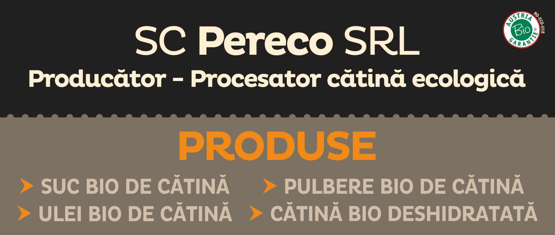 Prezentare