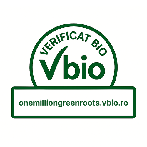 Kombucha ecologică în București – One Million Green Roots S.R.L.