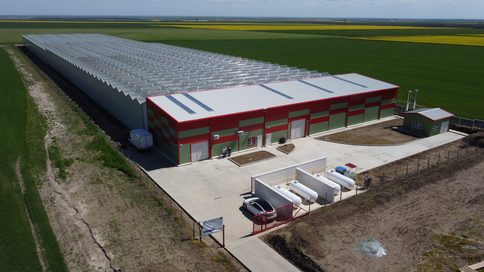 Roșii de Buzău – Enni Ecologic S.R.L.