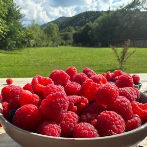 Racoviță Berivoi S.R.L.