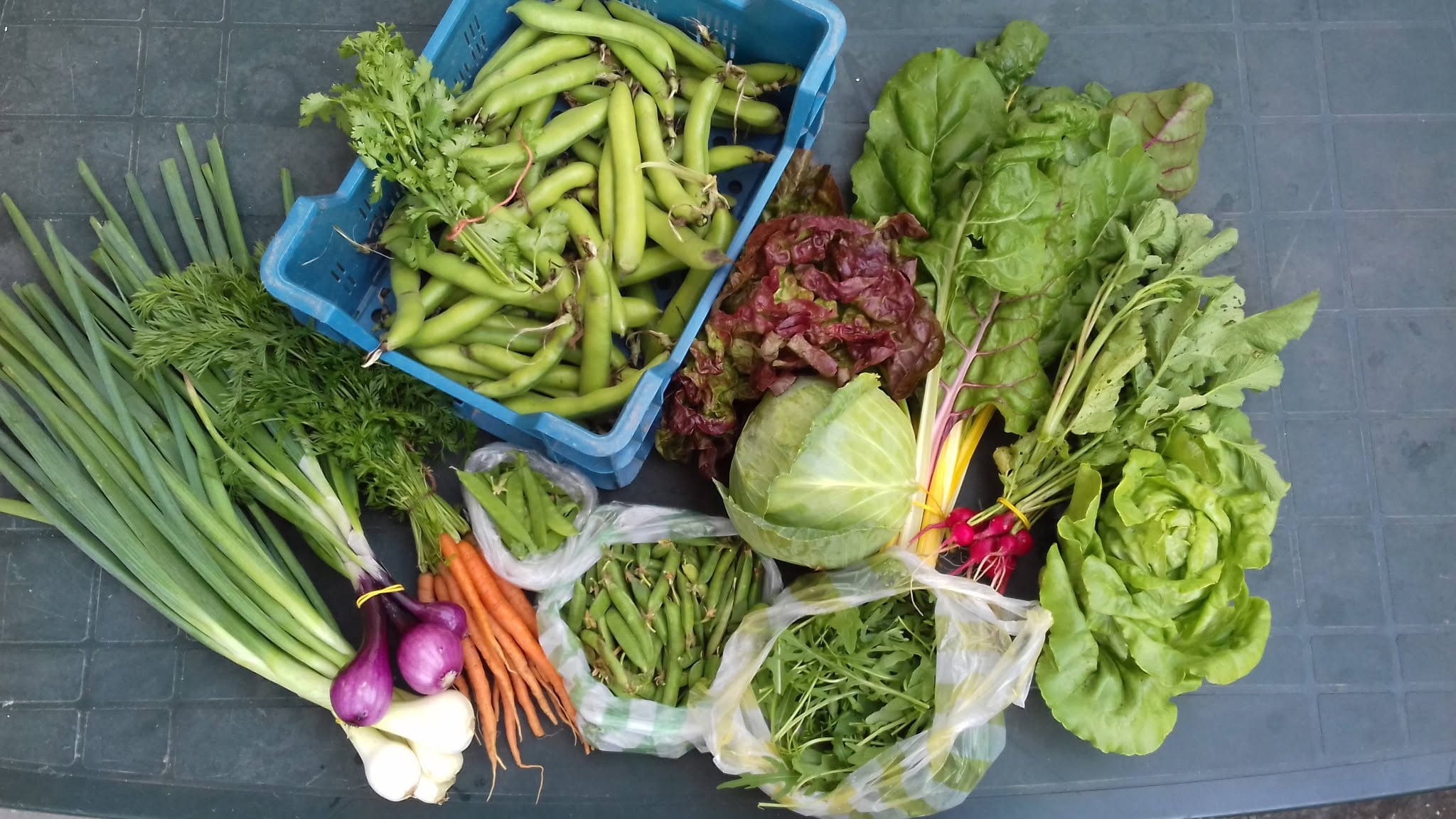 Fân, legume și fructe ecologice în Sărata, Sibiu – Jansen Angenieta Hendrika Agatha