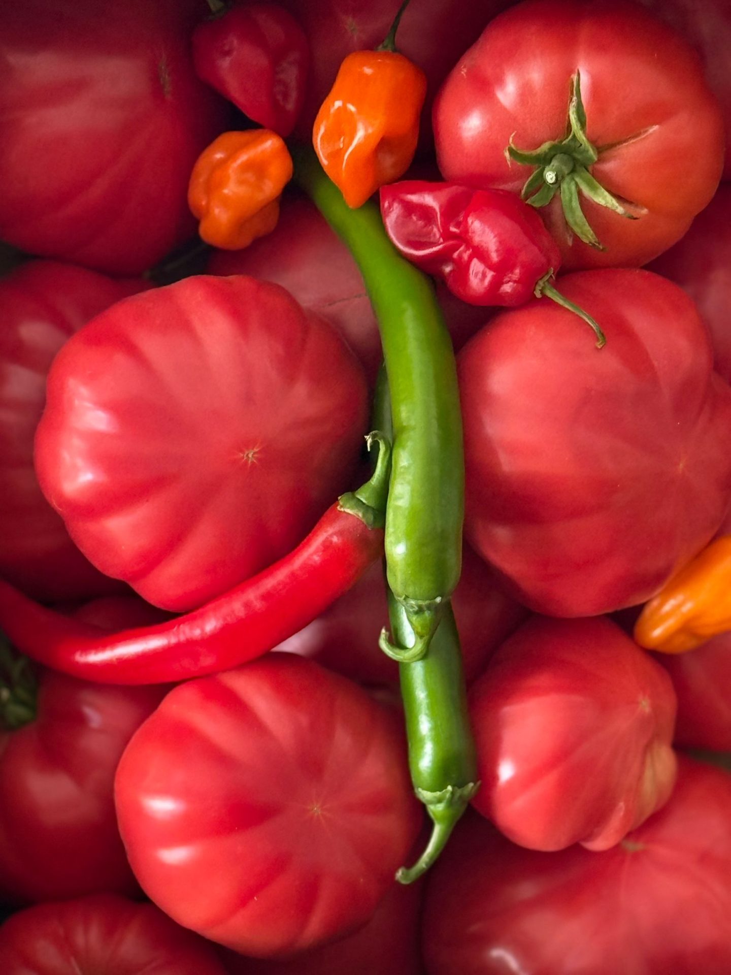 Alune Tonda Gentile si Tonda Romana, cânepă ecologică Nucii Chandler, suplimente alimetare bazate pe miere si fructe liofilizate în Samurcași, Dâmbovița – Alcos Bioprod S.R.L.